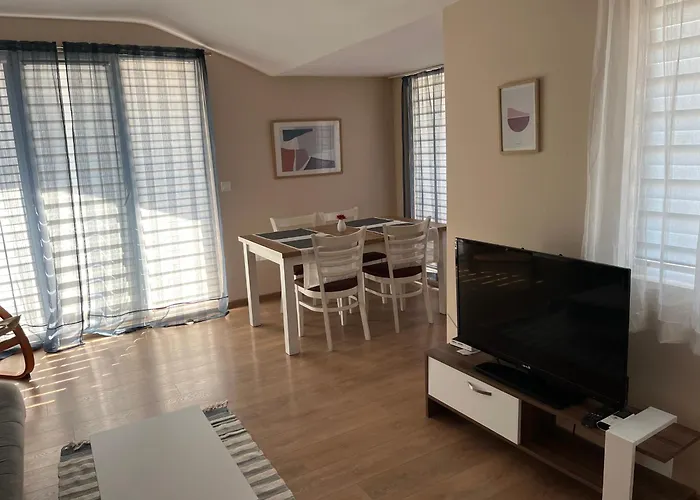 граф игнатиев 2